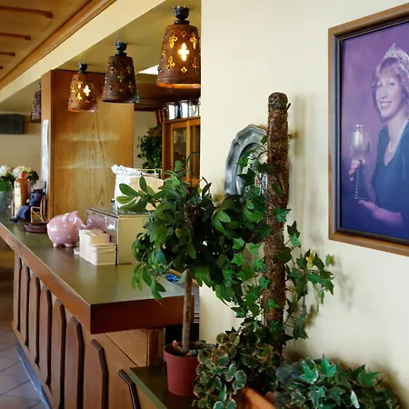 Haus Sonnschein ホテル コッヘム